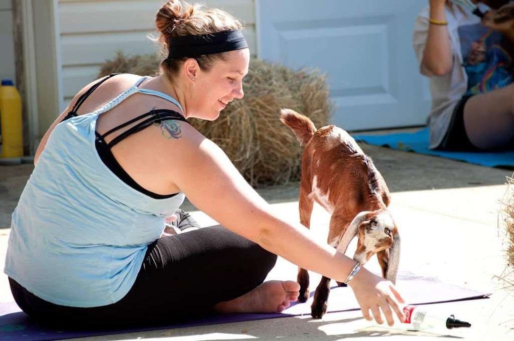 GoatToBeZen Yoga | 5811 Sunderland Ct, Sunderland, MD 20689 | Phone: (443) 684-4316