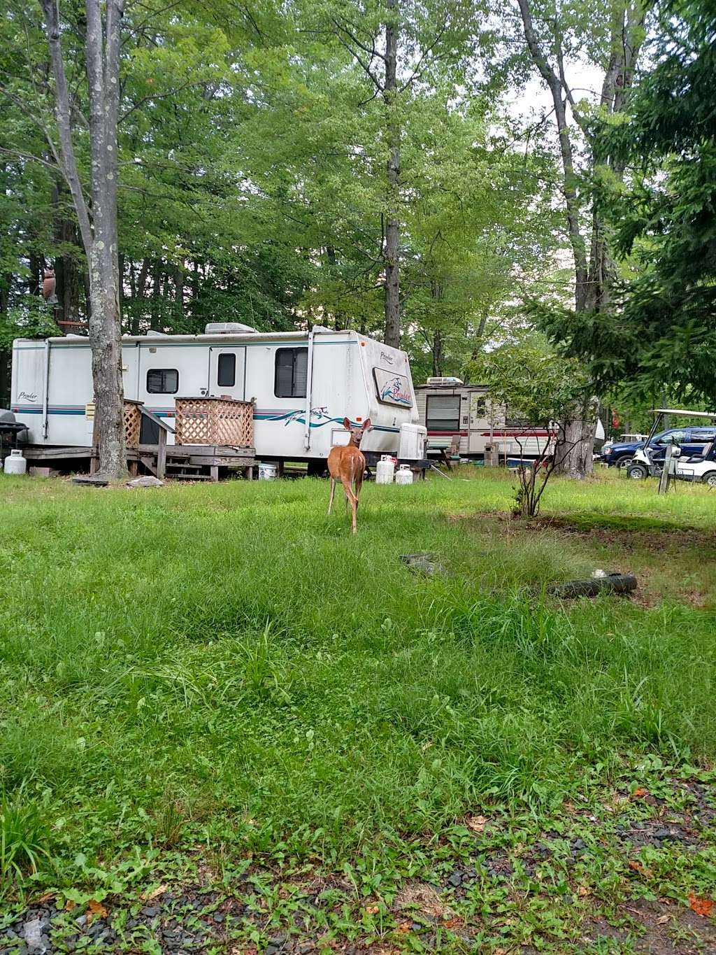 Secluded Acres Campground | 150 Martys Main St, Lake Ariel, PA 18436, USA | Phone: (570) 226-9959