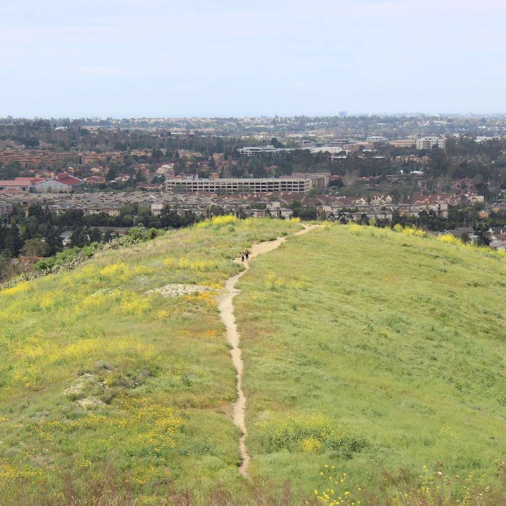 French Hill, Irvine, CA | Irvine, CA 92612, USA