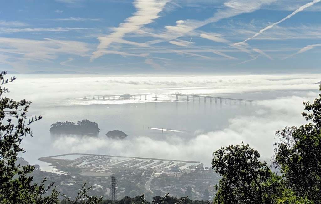 Harry Barbier Memorial Park | San Rafael, CA 94901