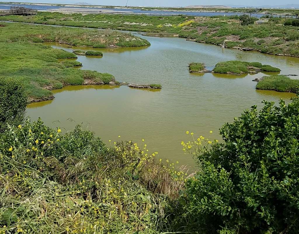 Don Edwards San Francisco Bay National Wildlife Refuge Environme | 1751 Grand Blvd, San Jose, CA 95002 | Phone: (408) 262-5513