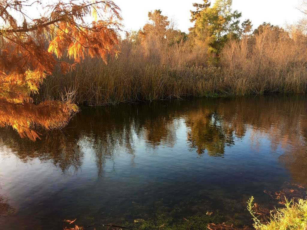 Shinn Pond | 507 018500800, Fremont, CA 94536, USA