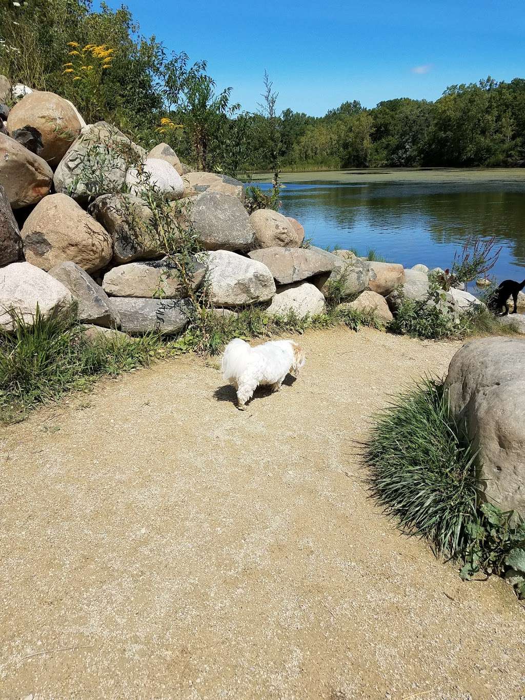 Prairie Wolf Dog Park | 1917-2075 S Waukegan Rd, Lake Forest, IL 60045, USA | Phone: (847) 367-6640