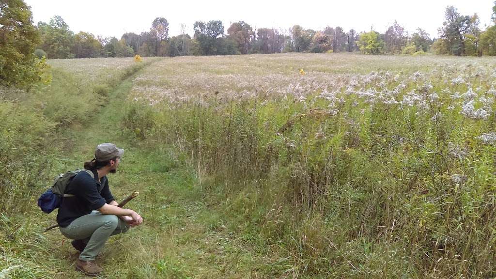 Pochuck Mountain State Forest | Pine Island, NY 10969