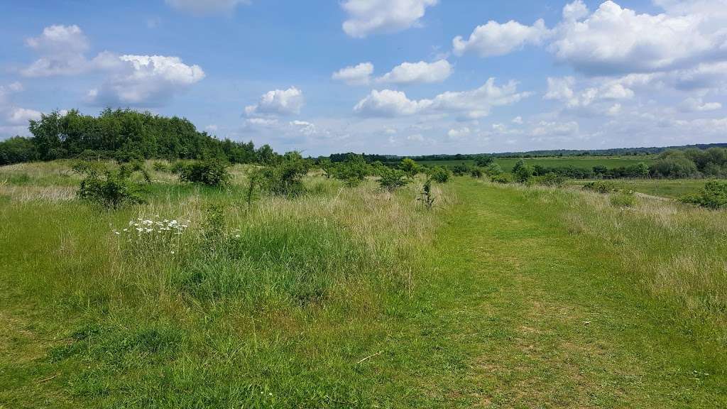 Gunpowder Park & Sewardstone Marsh | Waltham Abbey EN9 3GP, UK