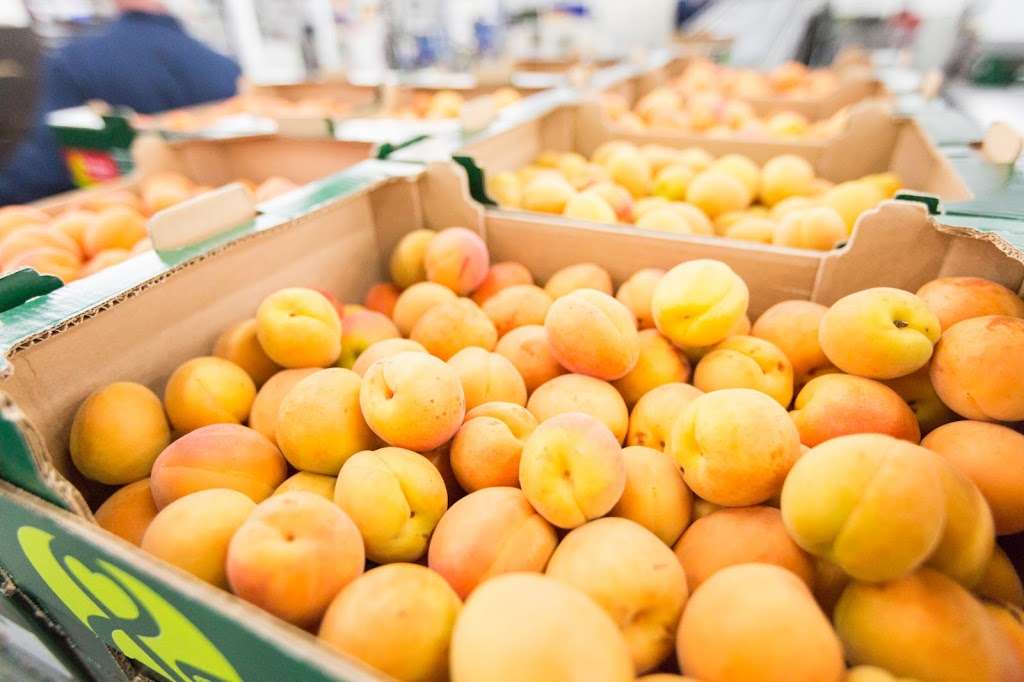 Mack Fruit | Transfesa Rd, Paddock Wood, Tonbridge TN12 6UT, UK | Phone: 01892 835577