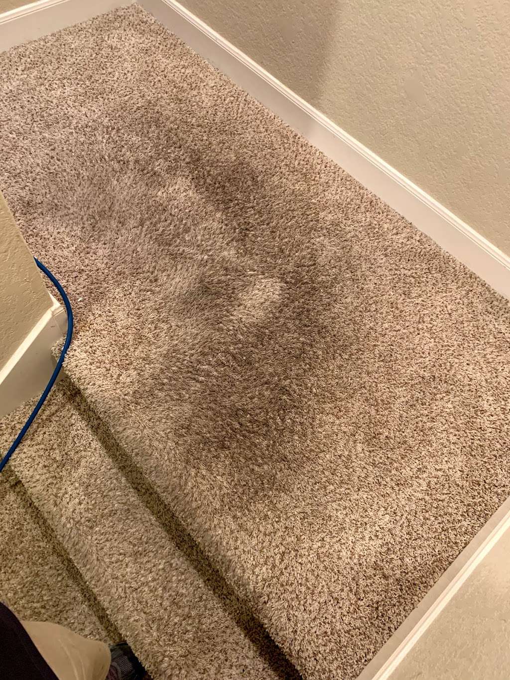 Docs Carpet Cleaning - San Antonio | san antonio, TX, USA | Phone: (210) 900-8659