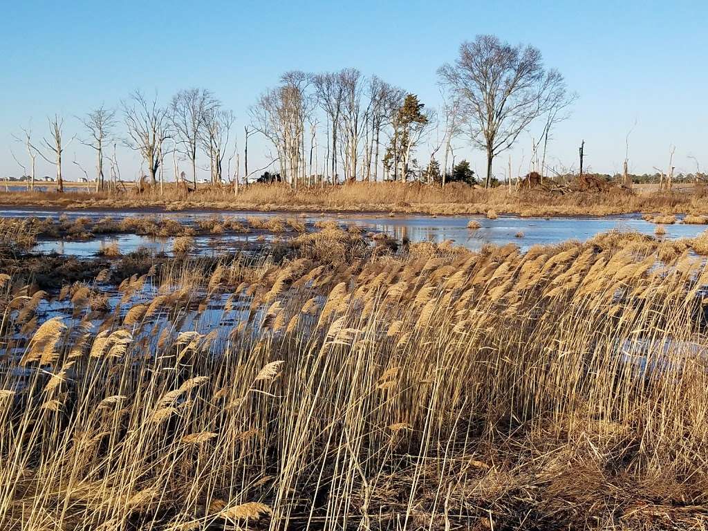 Prime Hook National Wildlife Refuge Admin Building And Visitor C | 11978 Turkle Pond Rd, Milton, DE 19968, USA | Phone: (302) 684-8419