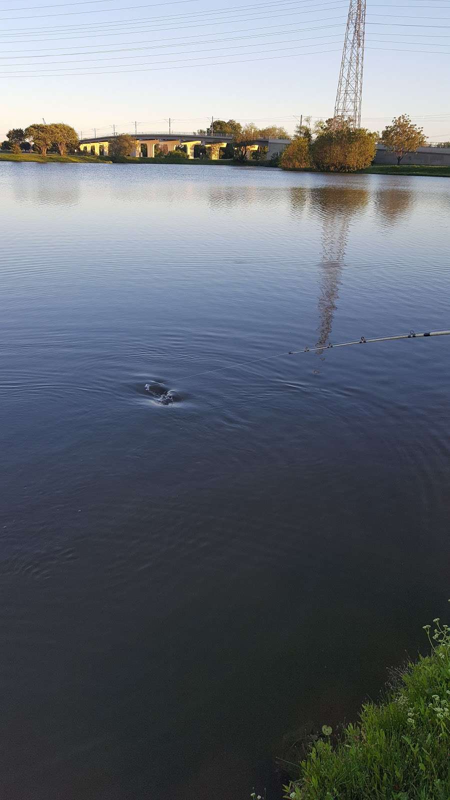 Duck Duck Goose Pond & Park | 14040990010010000, Carrollton, TX 75006, USA