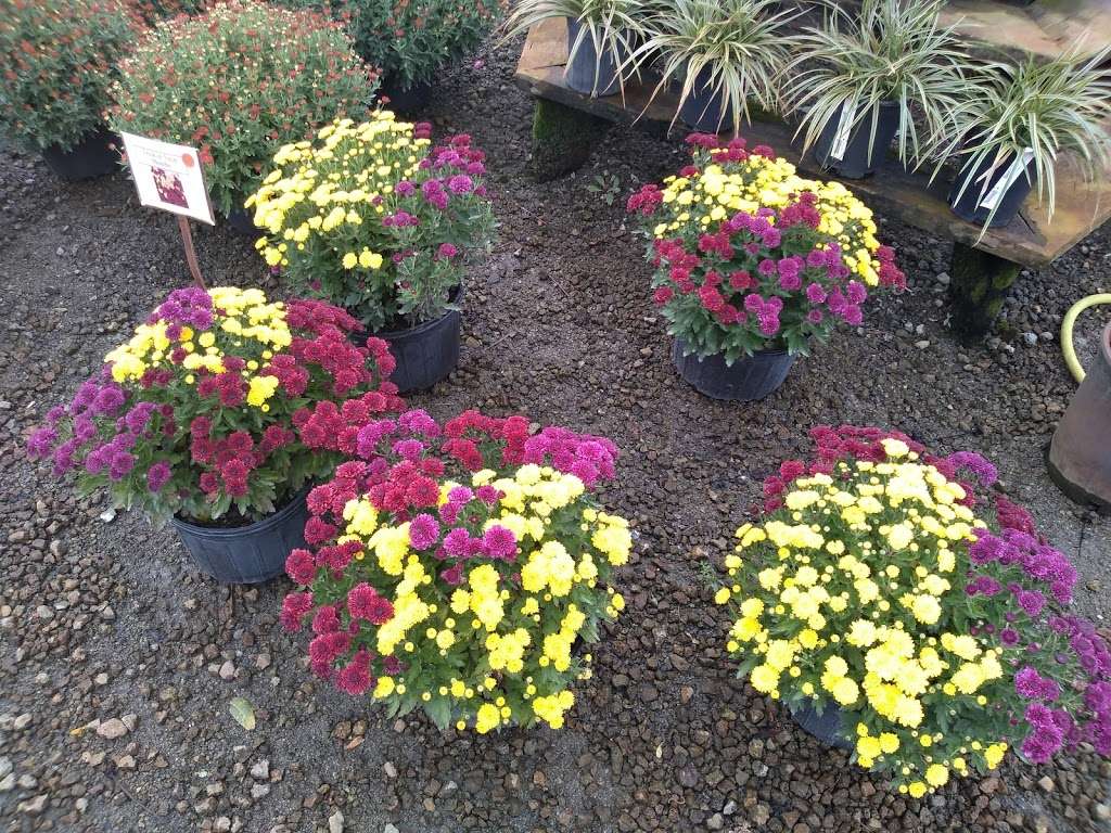 Four Seasons Landscaping Nursery | 226 East U.S. Highway 6, Valparaiso, IN 46383, USA | Phone: (219) 464-4941