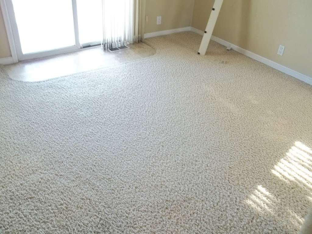 Team Clean Colorado - Residue-Free Carpet Steam Extraction | 3644 Downieville St, Loveland, CO 80538, USA | Phone: (970) 667-5050