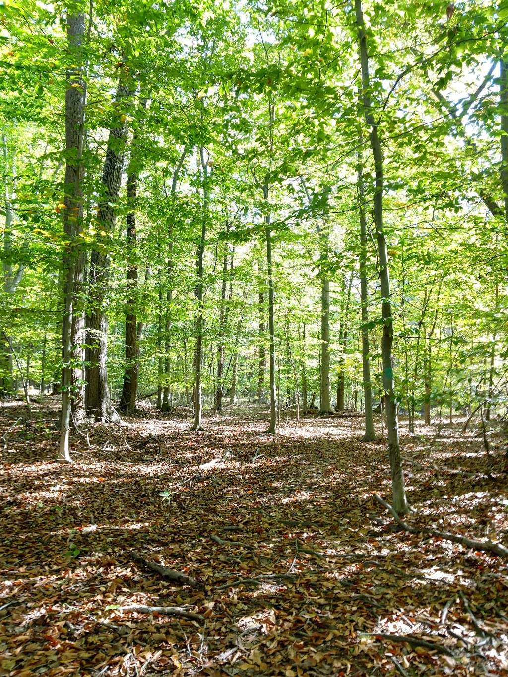 Green Ribbon Trail | Wissahickon Green Ribbon Trail, North Wales, PA 19454, USA