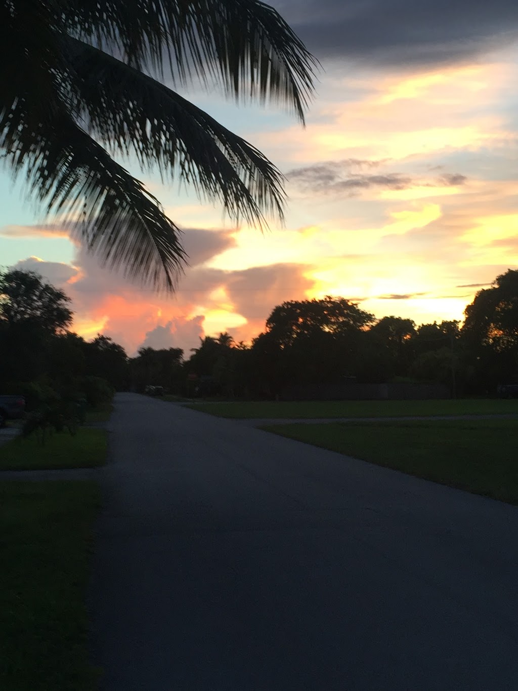 Sunset Park Elementary School | 10235 SW 84th St, Miami, FL 33173, USA | Phone: (305) 279-3222