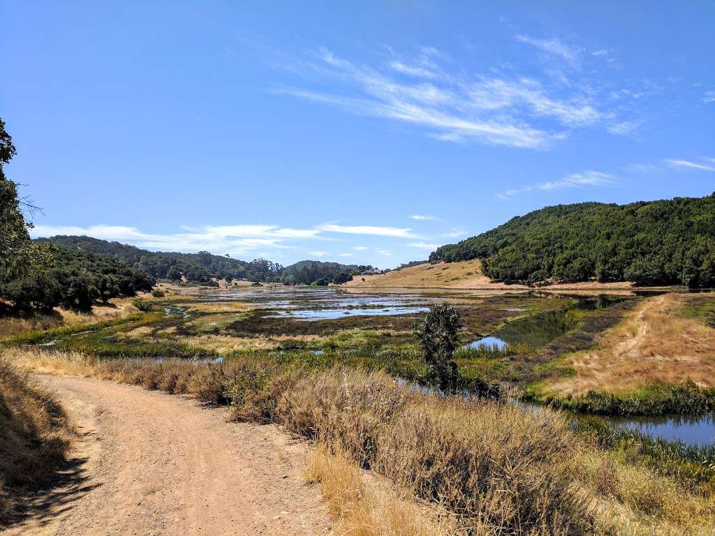 Rush Creek Preserve | Basalt Creek,, Novato, CA 94945, USA