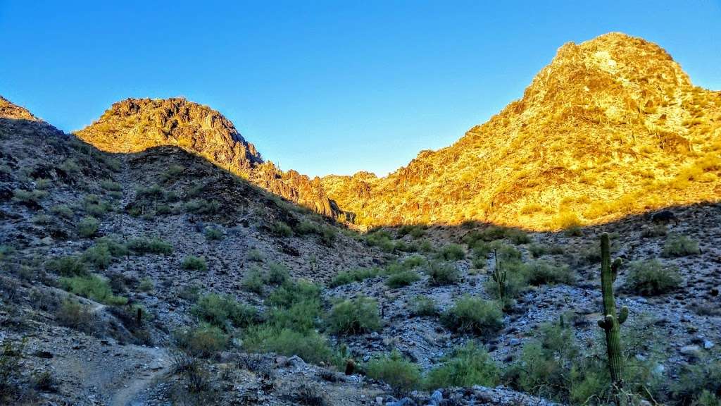 Phoenix Mountains Park | 2701 E Squaw Peak Dr, Phoenix, AZ 85016, USA | Phone: (602) 261-8318