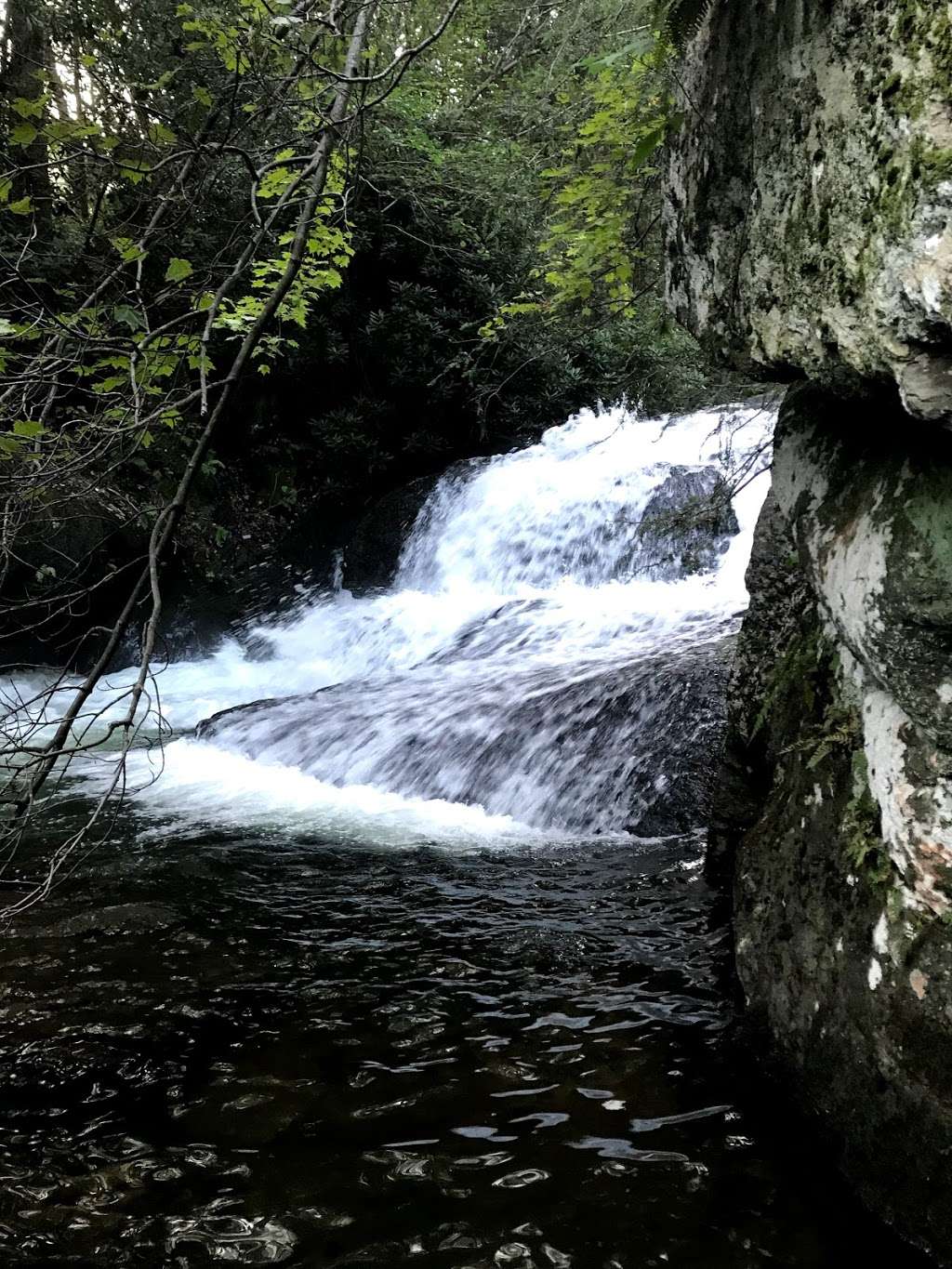 Wild Creek Falls Trail Head | 6875 Pohopoco Dr, Lehighton, PA 18235, USA