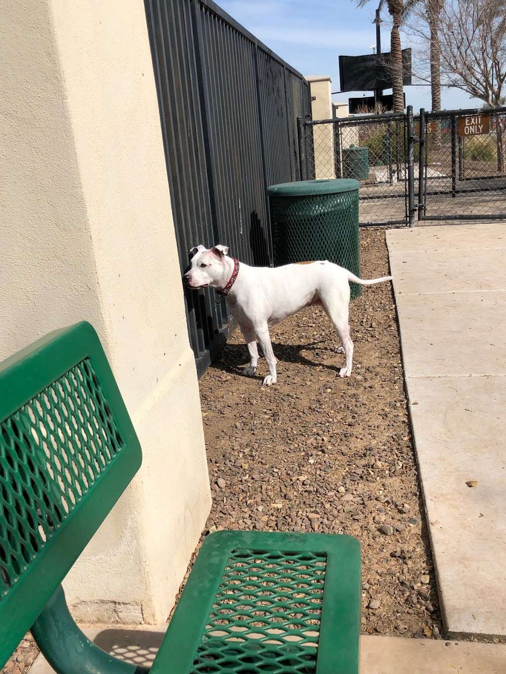 Gateway Dog Park | W Cinnabar Ave, El Mirage, AZ 85335, USA