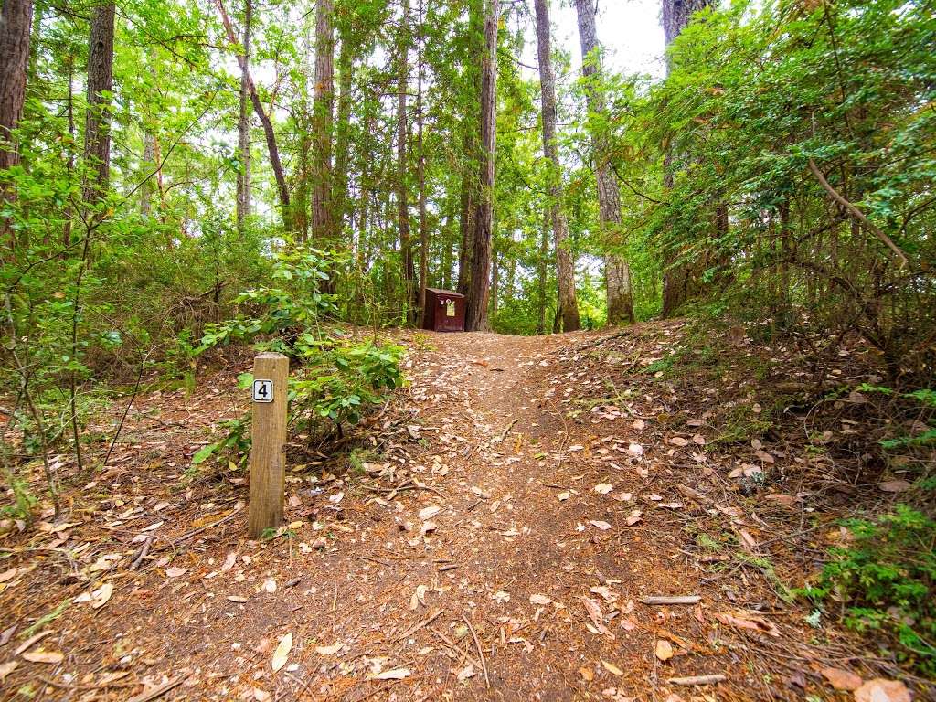 Sunset Trail Camp | Big Basin Redwoods State Park, Boulder Creek, CA 95006, USA