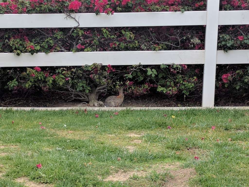 Overlook Park 2861 Woodview Rd, Chino Hills, CA 91709