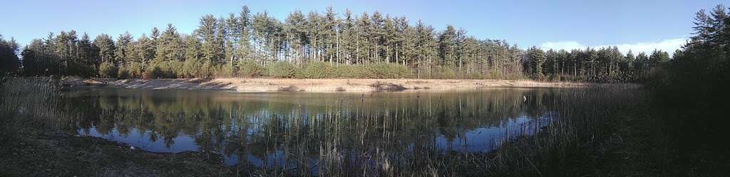 Blueberry Knoll Wildlife Area | Stanley Rd, Norton, MA 02766 | Phone: (508) 285-7566