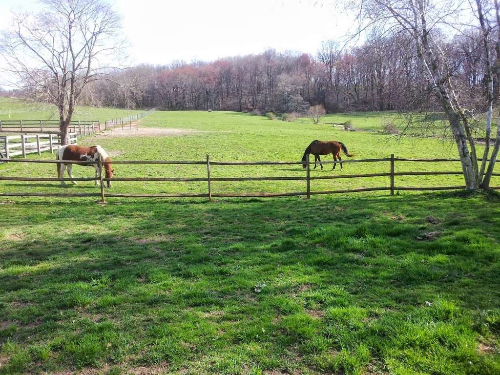 Quigleys Farm - Horse Boarding | 197 Waterway Rd, Oxford, PA 19363 | Phone: (484) 467-6266