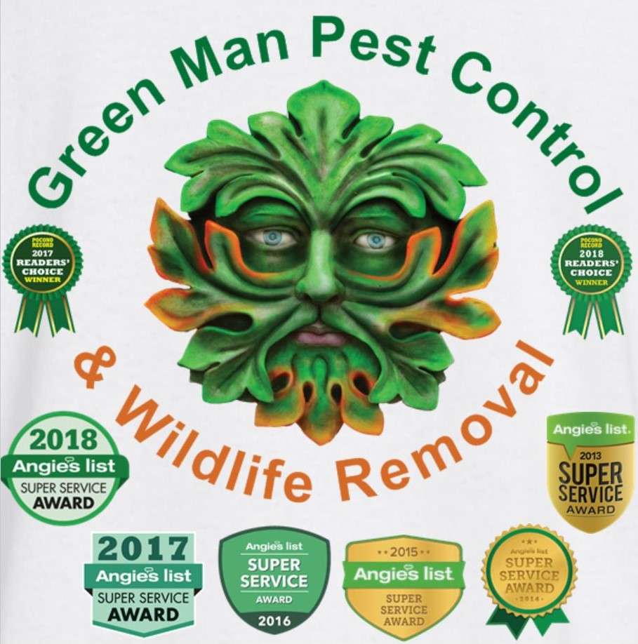 Green Man Exterminator | 506 Main St, Tobyhanna, PA 18466 | Phone: (570) 851-4863