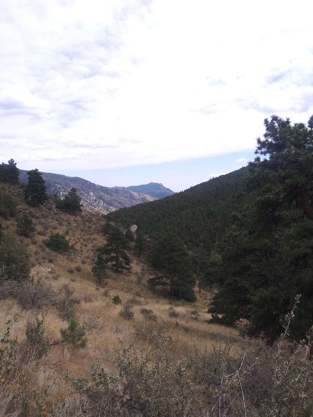 Crosier Mountain Rainbow Trailhead (#981) | 9497 Co Rd 43, Drake, CO 80515, USA