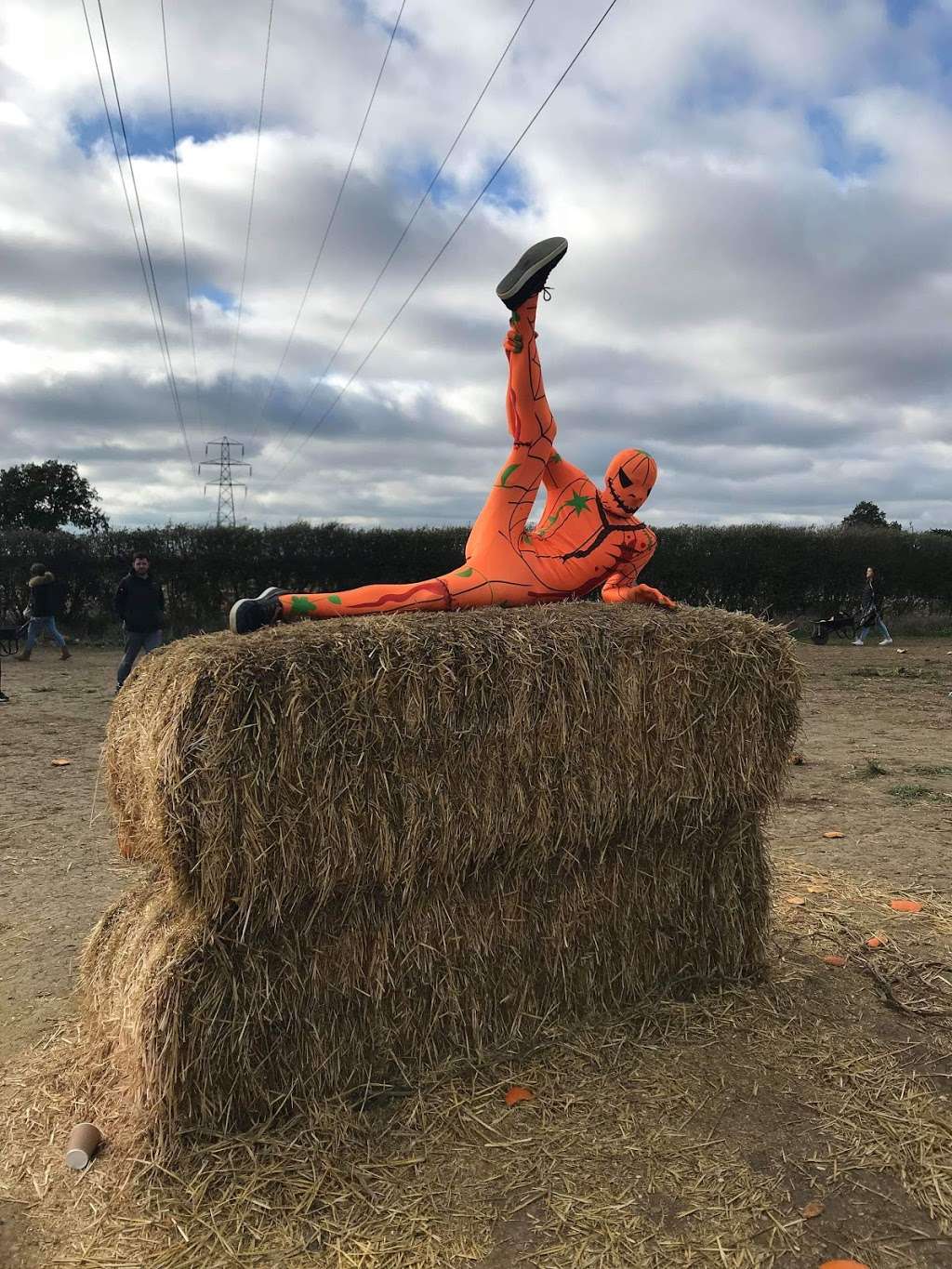 Foxes Farm Produce - The Corn Maze and The Pumpkin Patch - Basil | Watch House Farm, Wash Road, Basildon SS15 4ER, UK | Phone: 07720 888053