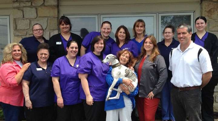 VCA Delaware Valley Animal Hospital | 183 Bristol Oxford Valley Rd, Langhorne, PA 19047, USA | Phone: (215) 946-1111