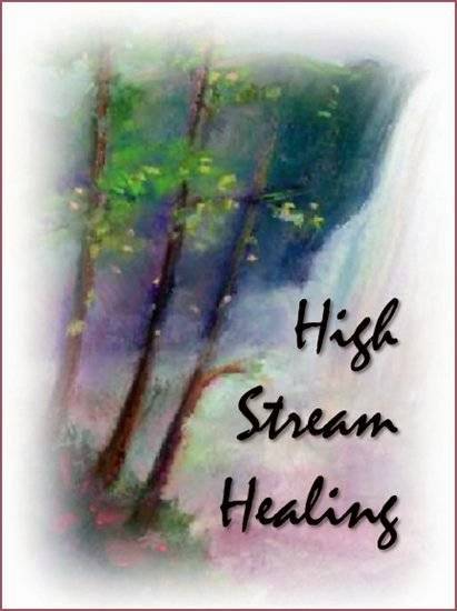 High Stream Healing- Boise Colon Cleanse | 1617 N 5th St, Boise, ID 83702, USA | Phone: (208) 850-8075