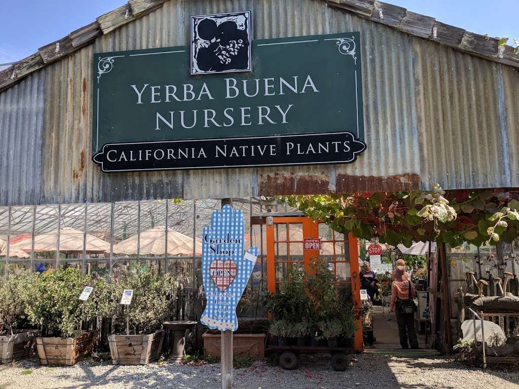 Yerba Buena Nursery | 12511 San Mateo Rd, Half Moon Bay, CA 94019 | Phone: (650) 851-1668