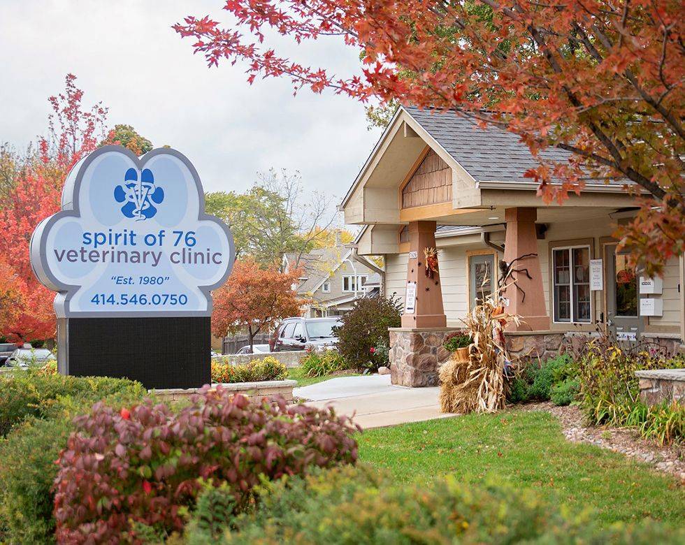 Spirit Of 76th Veterinary Clinic | 7606 W Lincoln Ave, West Allis, WI 53219 | Phone: (414) 546-0750