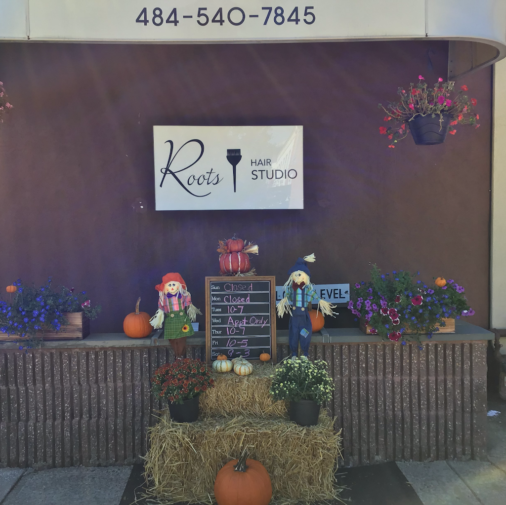 Roots Hair Studio | 601 W MacDade Blvd, Milmont Park, PA 19033 | Phone: (484) 540-7845