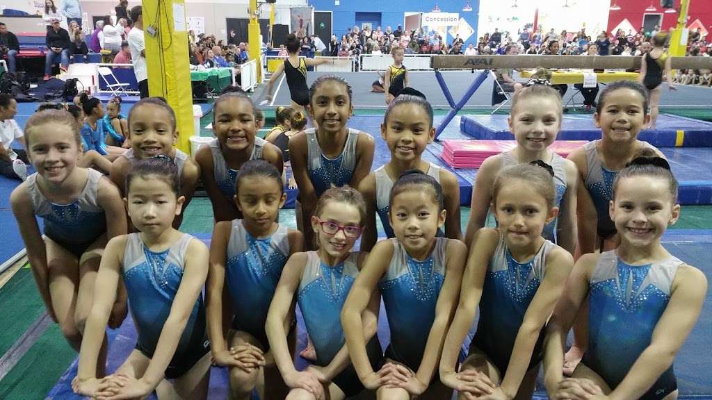 Sugar Land Gymnastics | 16215 Lexington Blvd, Sugar Land, TX 77479, USA | Phone: (281) 240-0999