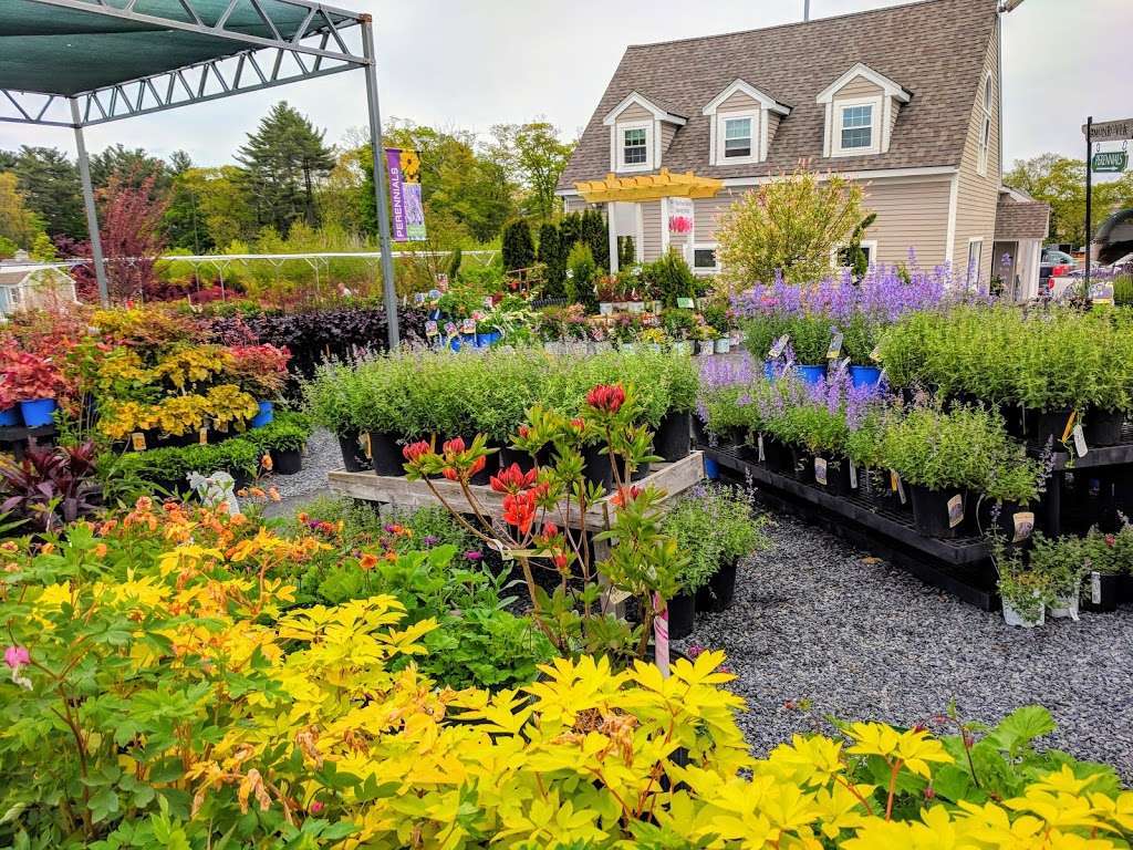 Seoanes Garden Center | 551 Bedford St, Abington, MA 02351, USA | Phone: (781) 878-1306