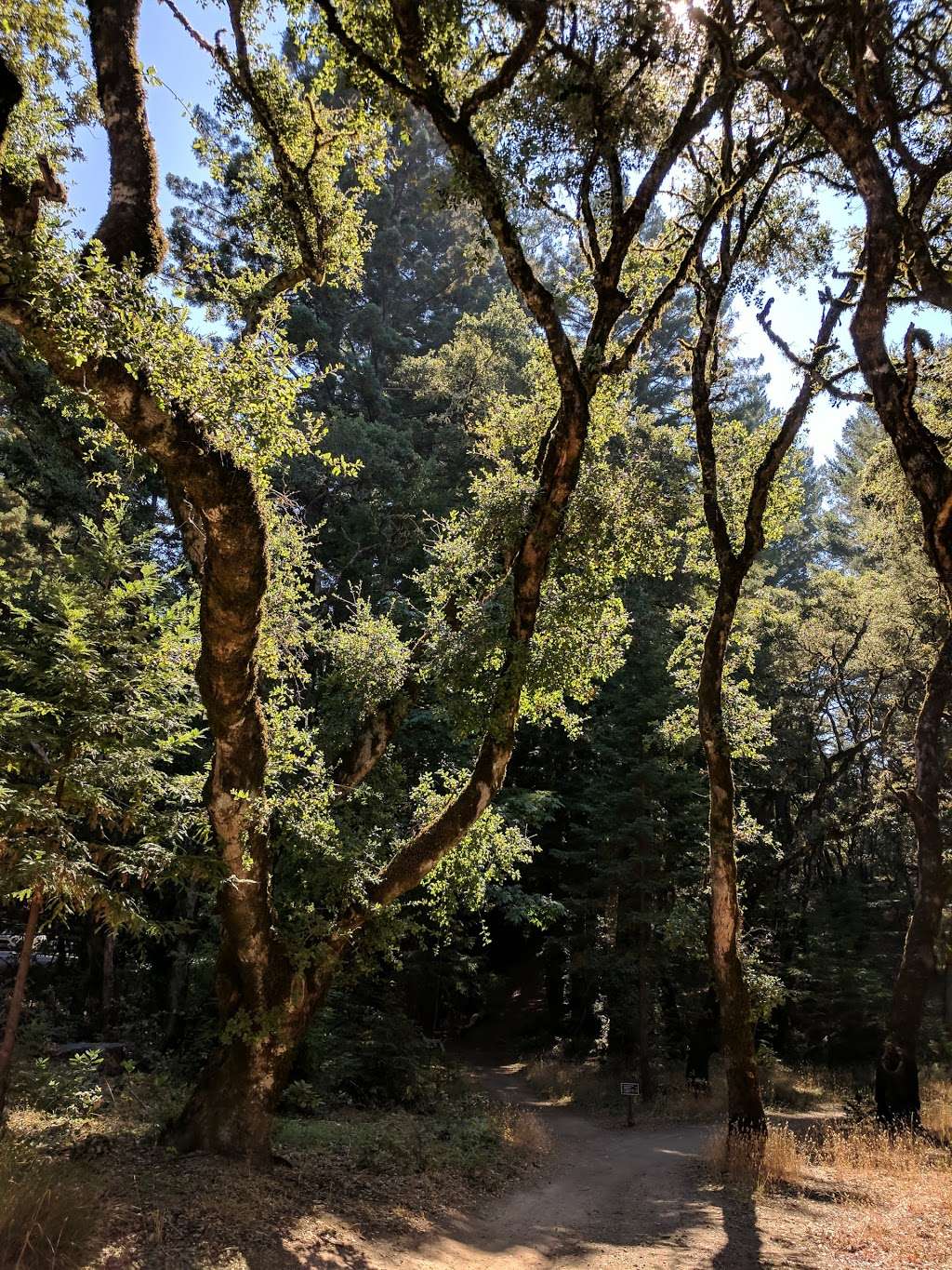 El Corte de Madera Creek Open Space Preserve Parking | CA-35, Redwood City, CA 94062 | Phone: (650) 691-1200