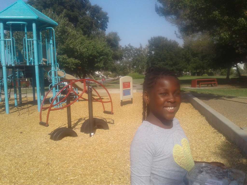 Independence Park Playground | 2493 Regent Rd, Livermore, CA 94550, USA