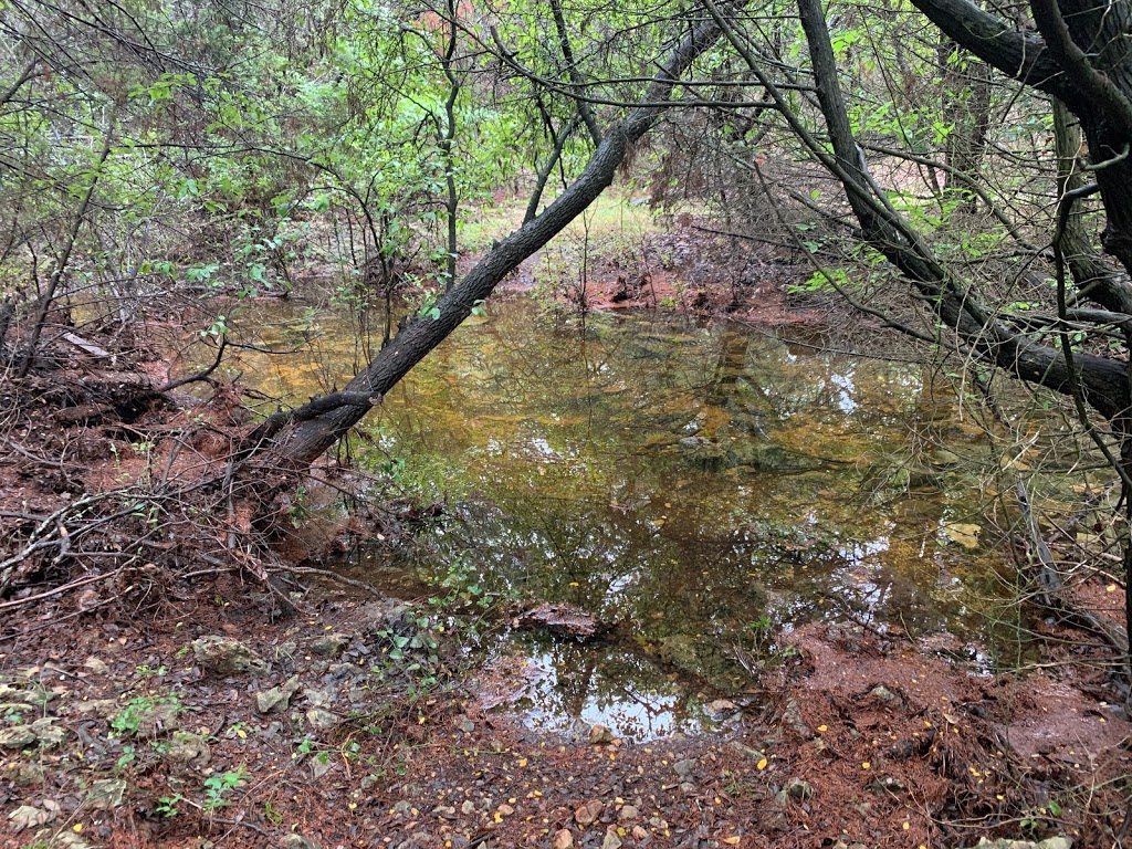 Buttercup Creek Cave Preserve | 2004 Burnie Bishop Pl, Cedar Park, TX 78613 | Phone: (512) 401-5500