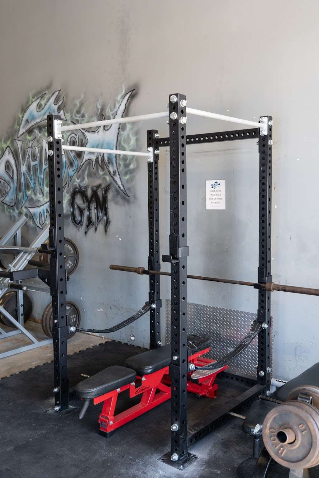 Khaos Gym | 25428 TX-494 Loop Unit G, Porter, TX 77365, USA | Phone: (832) 419-8852