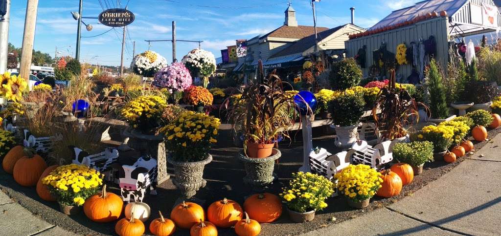 OBriens Farm Hill Florist & Garden Center | 224 Main St, Stoneham, MA 02180, USA | Phone: (781) 438-4564