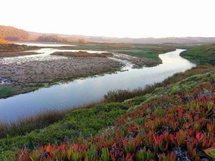Pescadero Marsh Natural Preserve | New Years Creek Rd, Pescadero, CA 94060, USA | Phone: (650) 593-3281