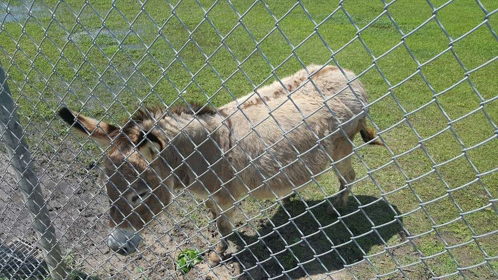 Wildlife Habitat | 3545 War Memorial St, Houston, TX 77084