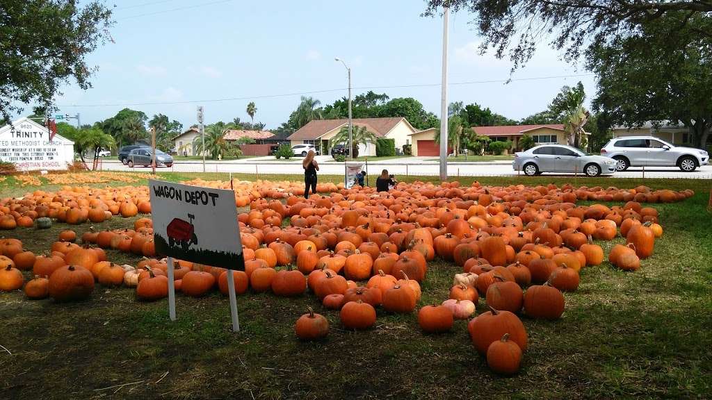 Trinity United Methodist Church | 9625 N Military Trl, West Palm Beach, FL 33410, USA | Phone: (561) 622-5278