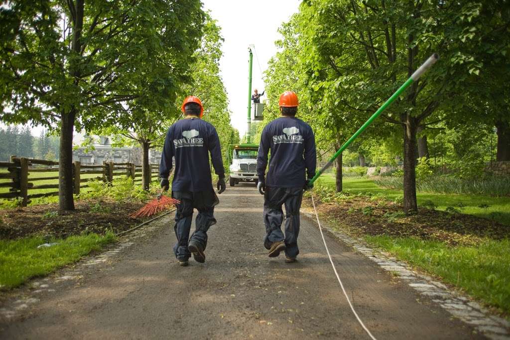 SavATree - Tree Service & Lawn Care | 2628, 27 Stonehouse Rd, Basking Ridge, NJ 07920, USA | Phone: (908) 766-3037