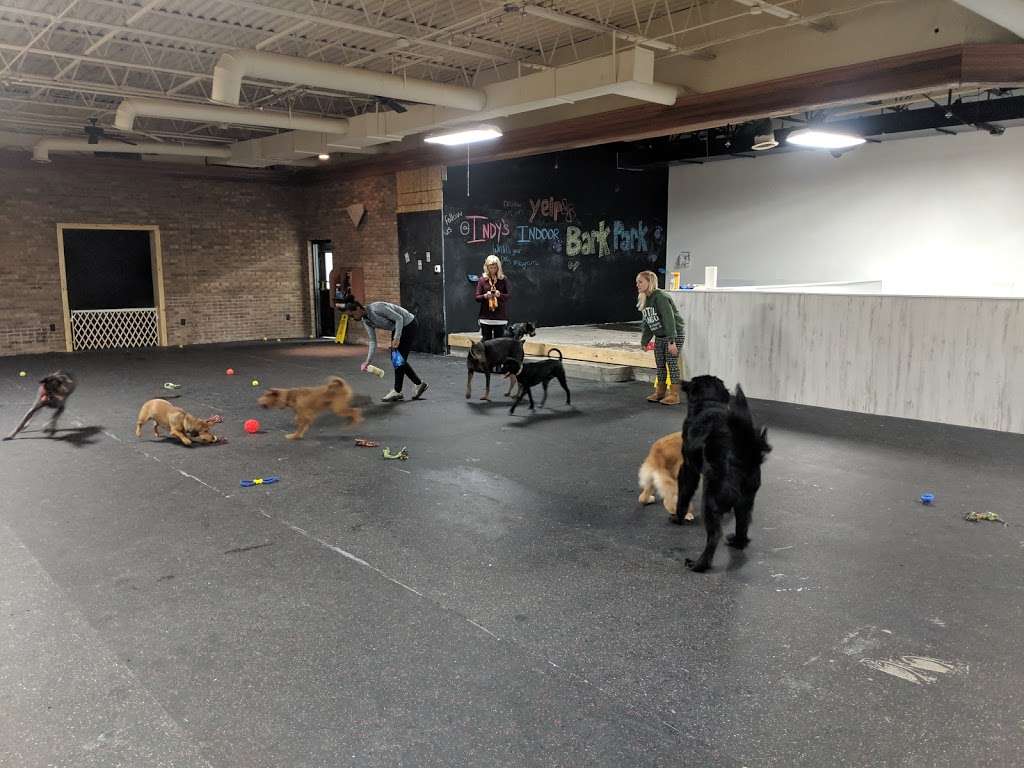 Indys Indoor Bark Park | 5601 E 82nd St, Indianapolis, IN 46250, USA | Phone: (317) 570-1124