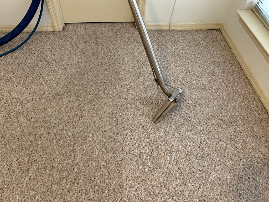 Same Day carpet cleaning, Inc | 4902 Boynton Ct, Tampa, FL 33625, USA | Phone: (813) 495-0458