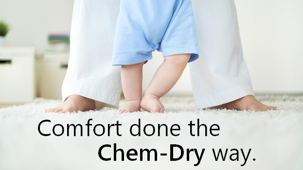 Chem-Dry Of Henrico | 10451 Chamberlayne Rd, Mechanicsville, VA 23116, USA | Phone: (804) 569-9501