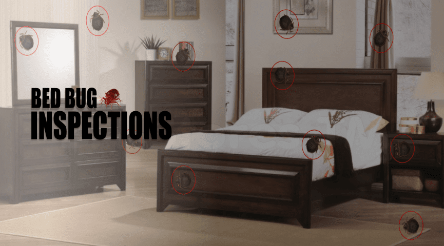 Bed Bug Protection International LLC | 10871 Bustleton Ave #220, Philadelphia, PA 19116, USA | Phone: (215) 494-3484