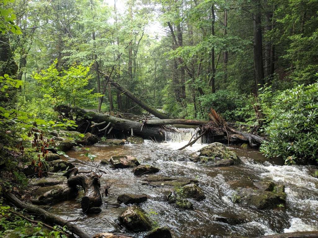 Mauch Chunk Lake Park | 625 Lentz Trail, Jim Thorpe, PA 18229, USA | Phone: (570) 325-3669