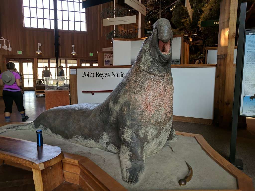 Point Reyes Visitor Center | 1 Bear Valley Visitor Center Access Road, Point Reyes Station, CA 94956, USA | Phone: (415) 464-5100 ext. 2